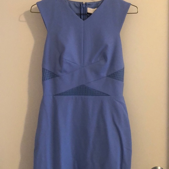 Ted Baker Dresses & Skirts - BNWT Ted Baker Mesh Crossover Dress